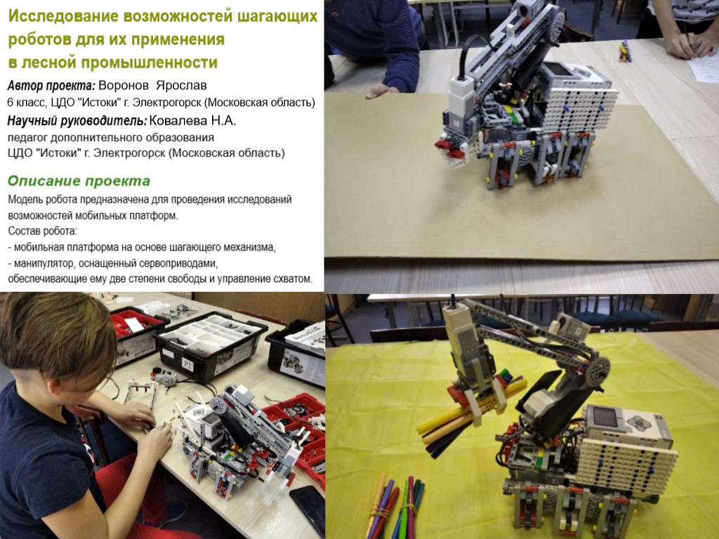 Исследование возможностей шагающих роботов для их применения в лесной промышленности